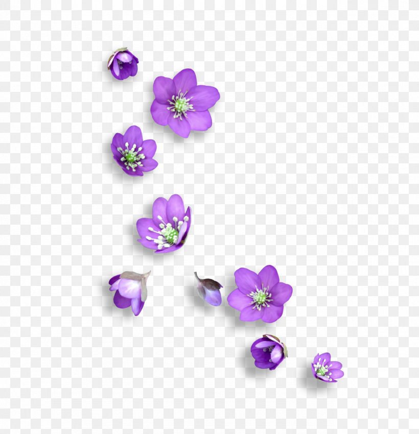 Flower Icon, PNG, 1284x1332px, Flower, Body Jewelry, Computer Graphics, Flowering Plant, Gemstone Download Free