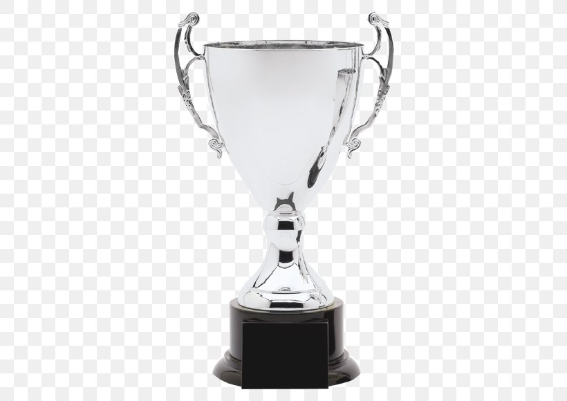 Trophy Loving Cup Award Silver, PNG, 580x580px, Trophy, Award, Commemorative Plaque, Cricket World Cup Trophy, Cup Download Free