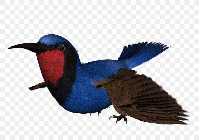Beak Clip Art, PNG, 1600x1131px, Beak, Bird, Bluebird, Cobalt, Cobalt Blue Download Free