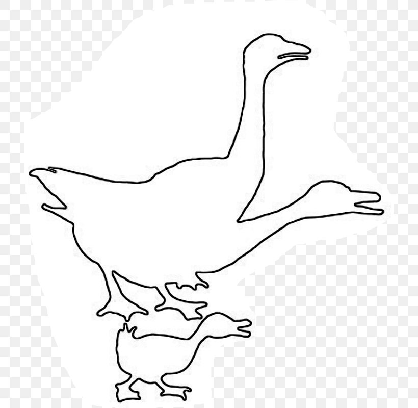 Duck Goose Line Art Cartoon Clip Art, PNG, 724x800px, Duck, Animal Figure, Area, Art, Artwork Download Free