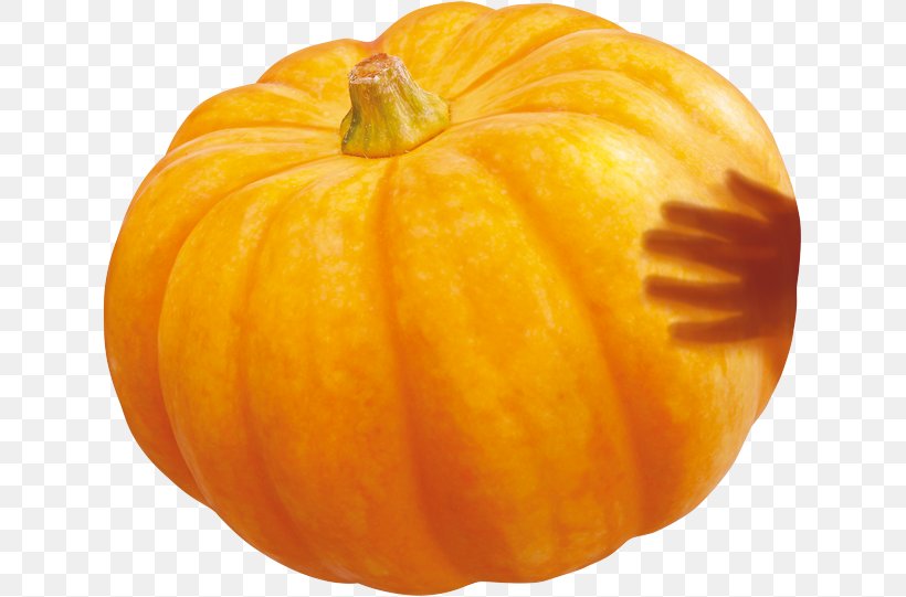 Pumpkin Calabaza Winter Squash Gourd, PNG, 633x541px, Pumpkin, Calabaza, Commodity, Cucumber Gourd And Melon Family, Cucurbita Download Free