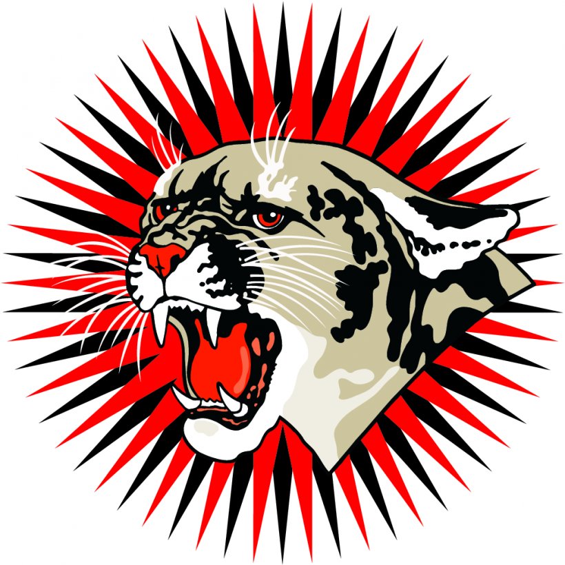 Cougar Cat Black Panther Clip Art, PNG, 1000x1000px, Cougar, Animal, Art, Big Cat, Big Cats Download Free