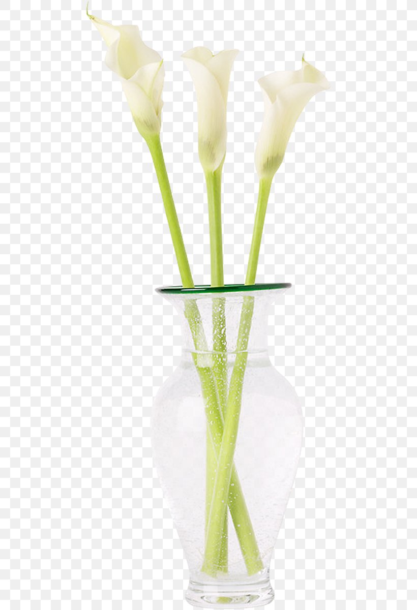 Floral Design Cut Flowers Vase Flower Bouquet, PNG, 484x1200px, Floral Design, Artificial Flower, Arum, Calas, Cut Flowers Download Free
