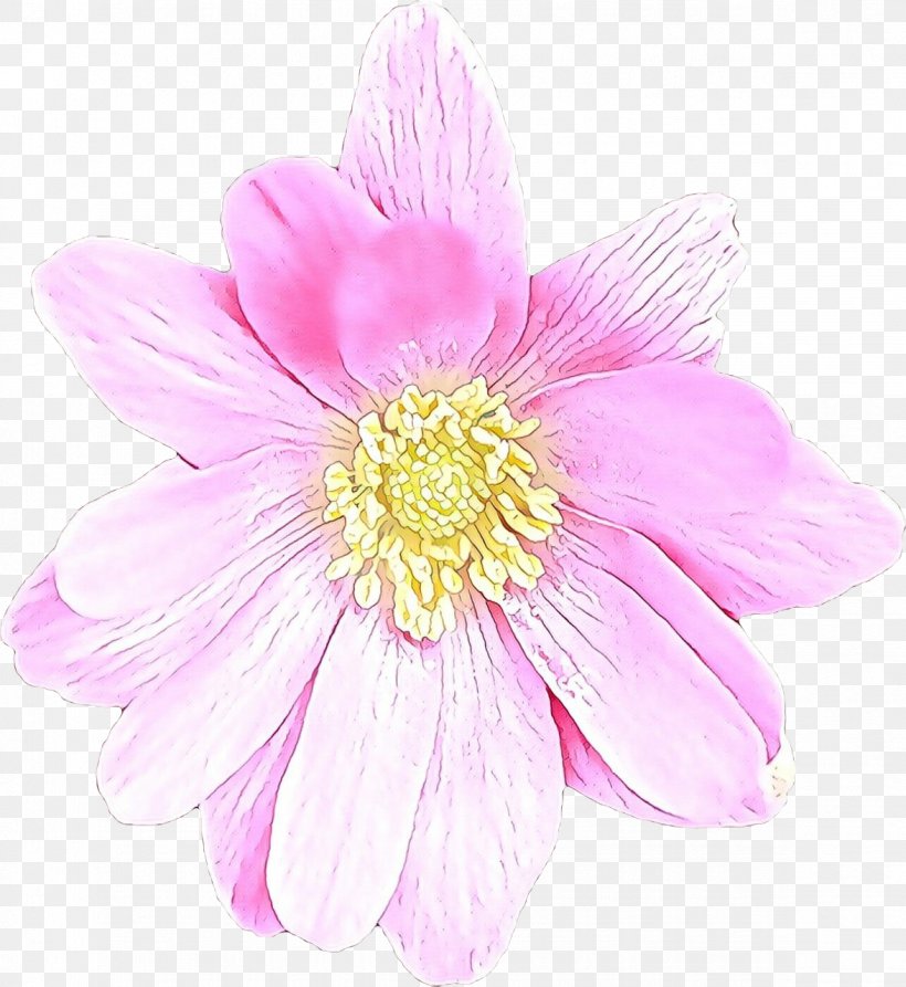 Flower Petal Pink Plant Daisy Family, PNG, 1175x1280px, Cartoon, Cut Flowers, Daisy Family, Flower, Gerbera Download Free