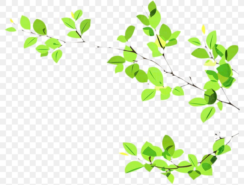 Green Leaf Background, PNG, 791x624px, Twig, Branch, Flower, Green, Latvia Download Free