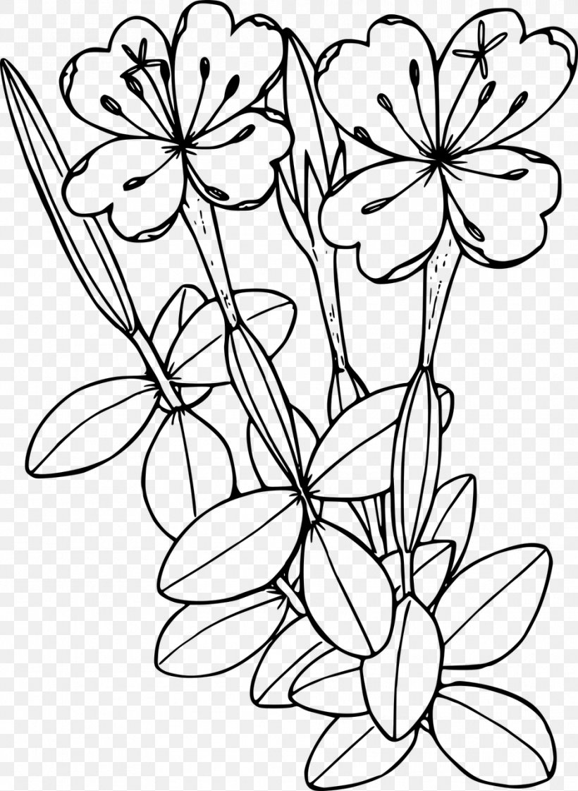 Wildflower Drawing Line Art Clip Art, PNG, 936x1280px, Flower, Area, Art, Black And White, Branch Download Free