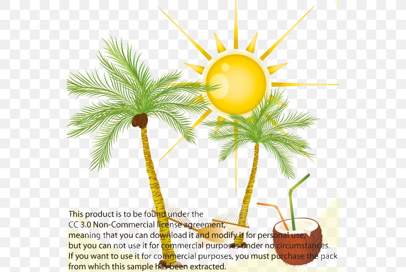 Arecaceae Coconut Euclidean Vector Clip Art, PNG, 550x550px, Arecaceae, Arecales, Branch, Coconut, Date Palm Download Free