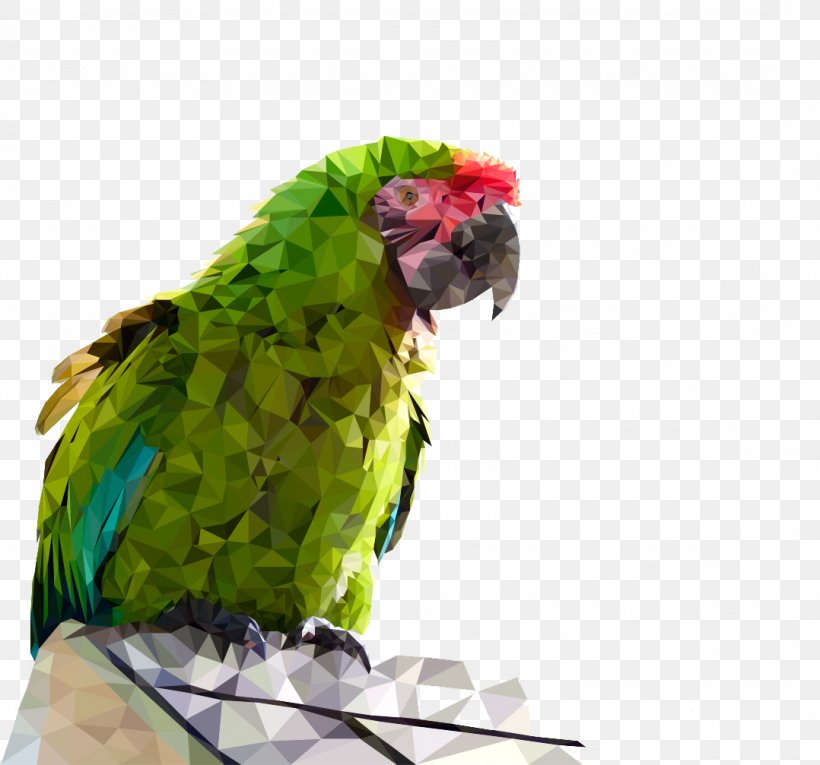 Budgerigar Parrot Talking Bird, PNG, 1078x1007px, Budgerigar, Beak, Bird, Common Pet Parakeet, Computer Software Download Free