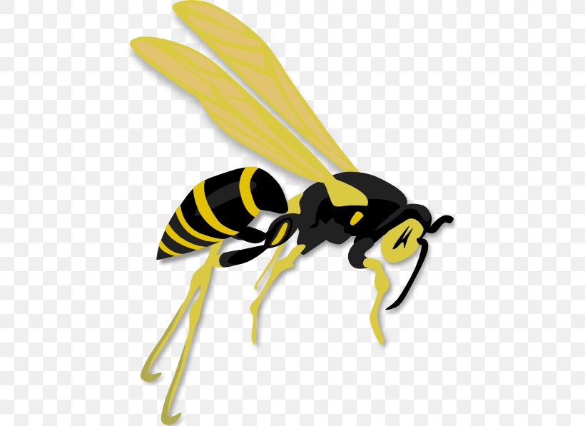 Hornet Western Honey Bee Clip Art Wasp, PNG, 456x597px, Hornet, Arthropod, Bee, Fly, Honey Bee Download Free