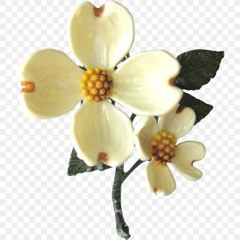 Moth Orchids Cut Flowers Petal Jewellery, PNG, 966x966px, Moth Orchids, Cut Flowers, Flower, Flowering Plant, Jewellery Download Free