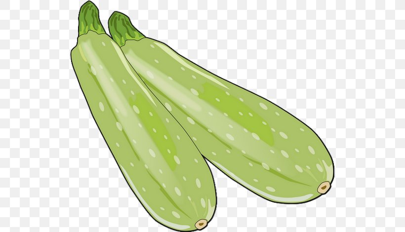 Pickled Cucumber Zucchini Summer Squash Drawing, PNG, 535x470px, Cucumber, Commodity, Cooking, Cooking Banana, Cooking Plantain Download Free