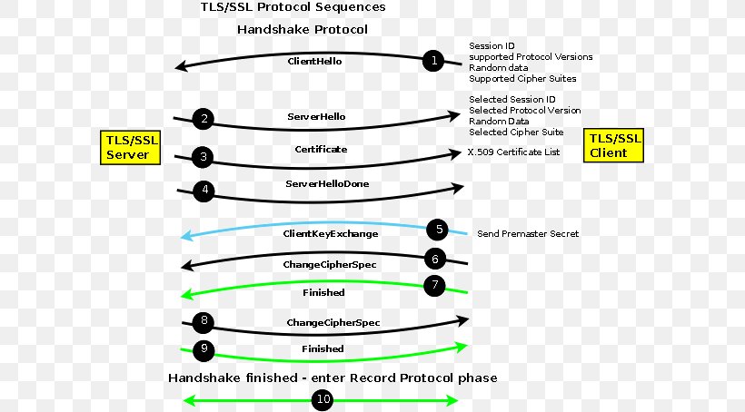 Transport Layer Security X.509 Certificate Authority Public Key Certificate Handshaking, PNG, 600x454px, Transport Layer Security, Area, Brand, Certificate Authority, Communication Protocol Download Free