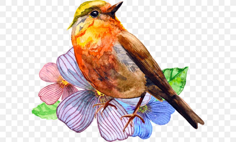 Watercolor Painting Bird Art, PNG, 600x496px, Watercolor, Cartoon, Flower, Frame, Heart Download Free