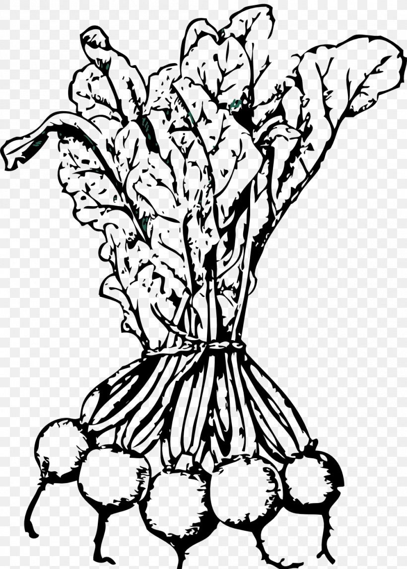 Beetroot Sugar Beet Vegetable Clip Art, PNG, 999x1397px, Beetroot, Art, Artwork, Black, Black And White Download Free