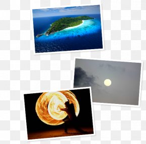Full Moon Party - Desktop Wallpaper Picture Frames Computer Organism PNG