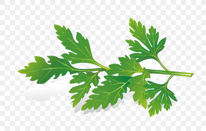 Herb Royalty-free Clip Art, PNG, 989x628px, Herb, Branch, Drawing, Flowering Plant, Food Download Free