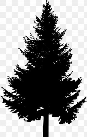 Pine Tree - Pine Tree Silhouette Clip Art PNG