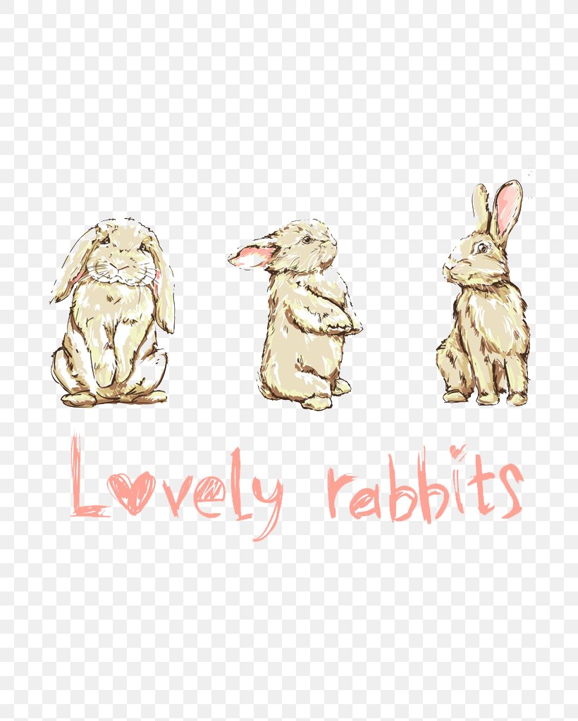 Rabbit Drawing Cartoon Illustration, PNG, 724x1024px, Rabbit, Animation, Drawing, Photography, Product Download Free