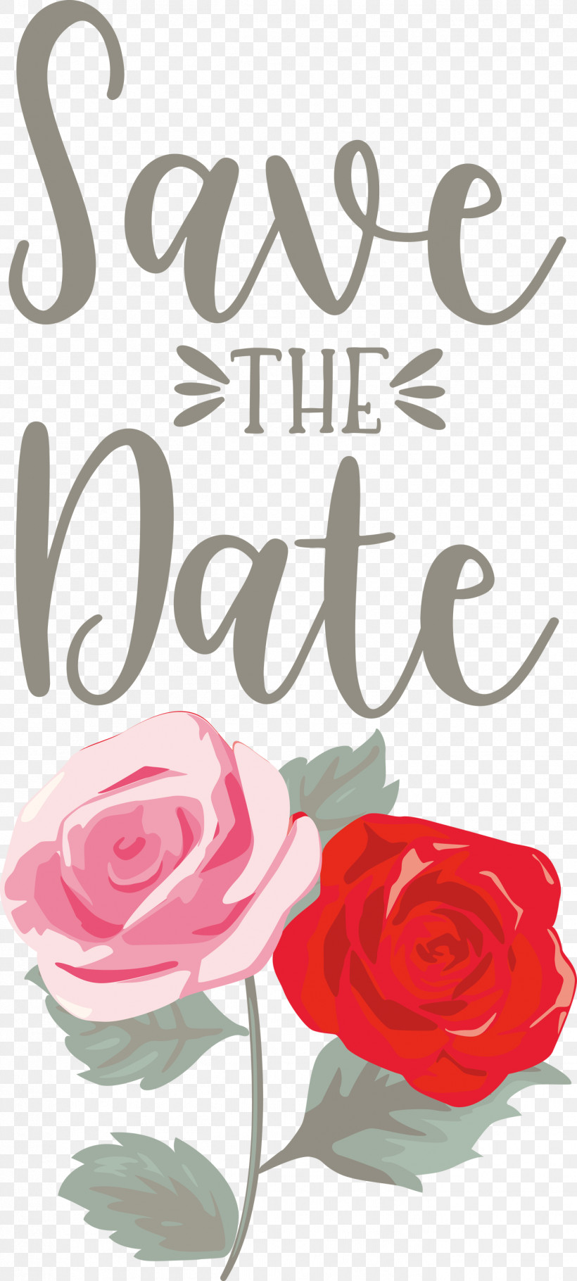 Save The Date Wedding, PNG, 1351x3000px, Save The Date, Cut Flowers, Floral Design, Flower, Garden Download Free