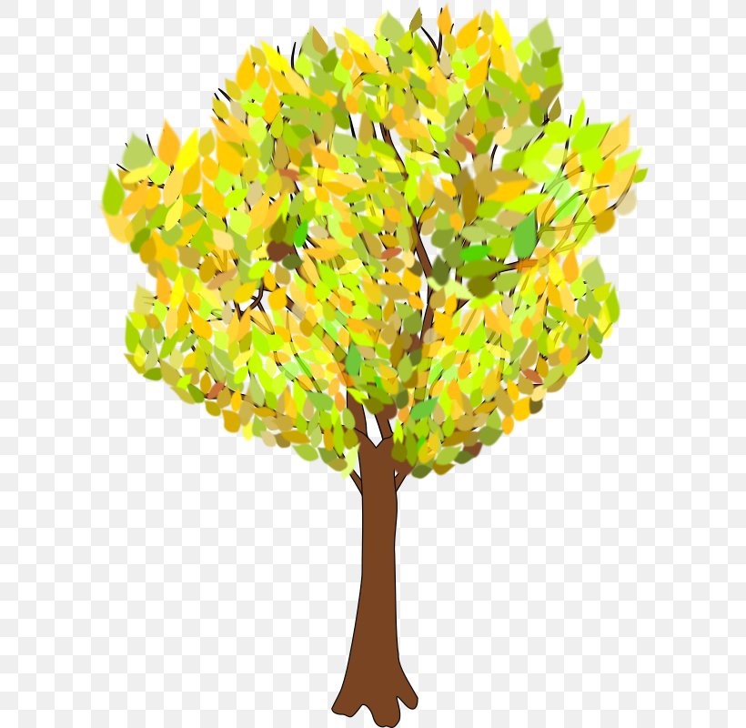Tree Autumn Branch Clip Art, PNG, 609x800px, Tree, Autumn, Autumn Leaf Color, Birch, Branch Download Free