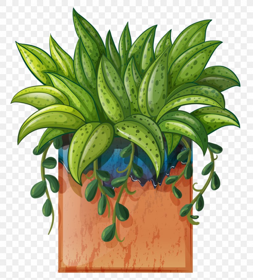 Clip Art Vector Graphics Stock Illustration, PNG, 925x1024px, Royaltyfree, Botany, Drawing, Flower, Flowering Plant Download Free