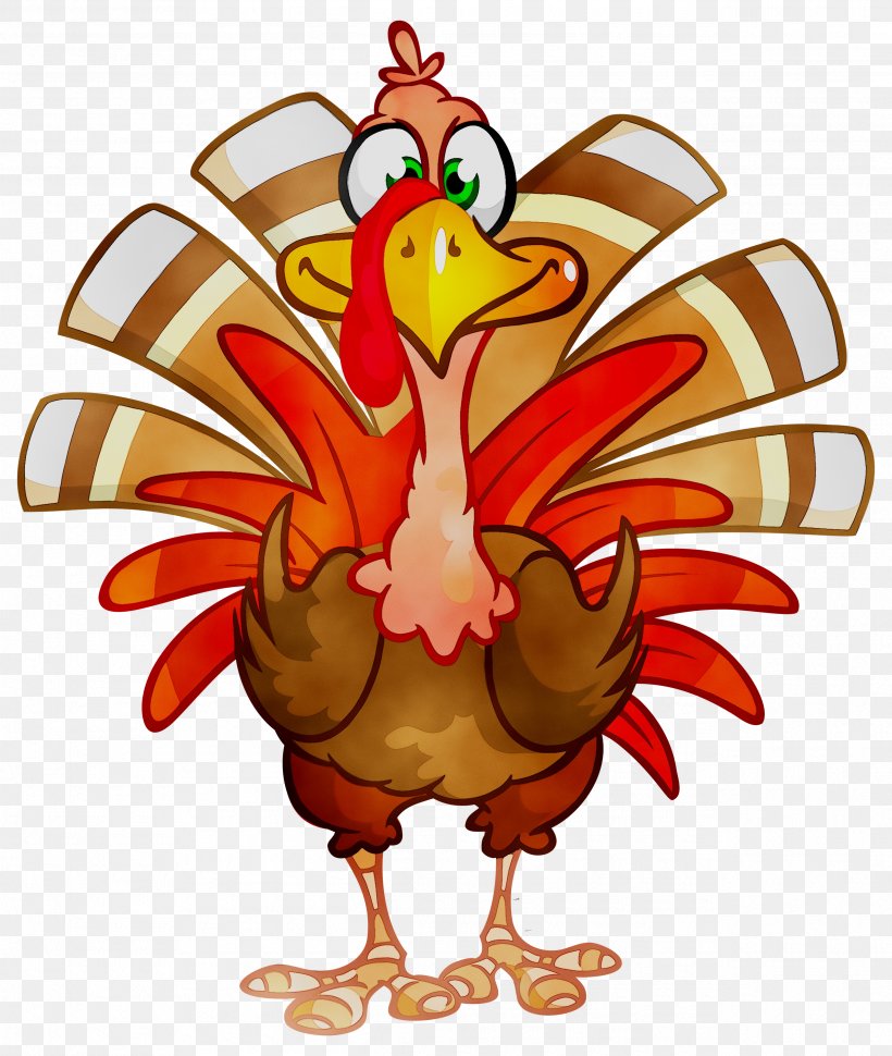 Macy's Thanksgiving Day Parade Turkey Meat Clip Art Vector Graphics, PNG, 2535x3000px, Thanksgiving, Art, Beak, Bird, Cartoon Download Free