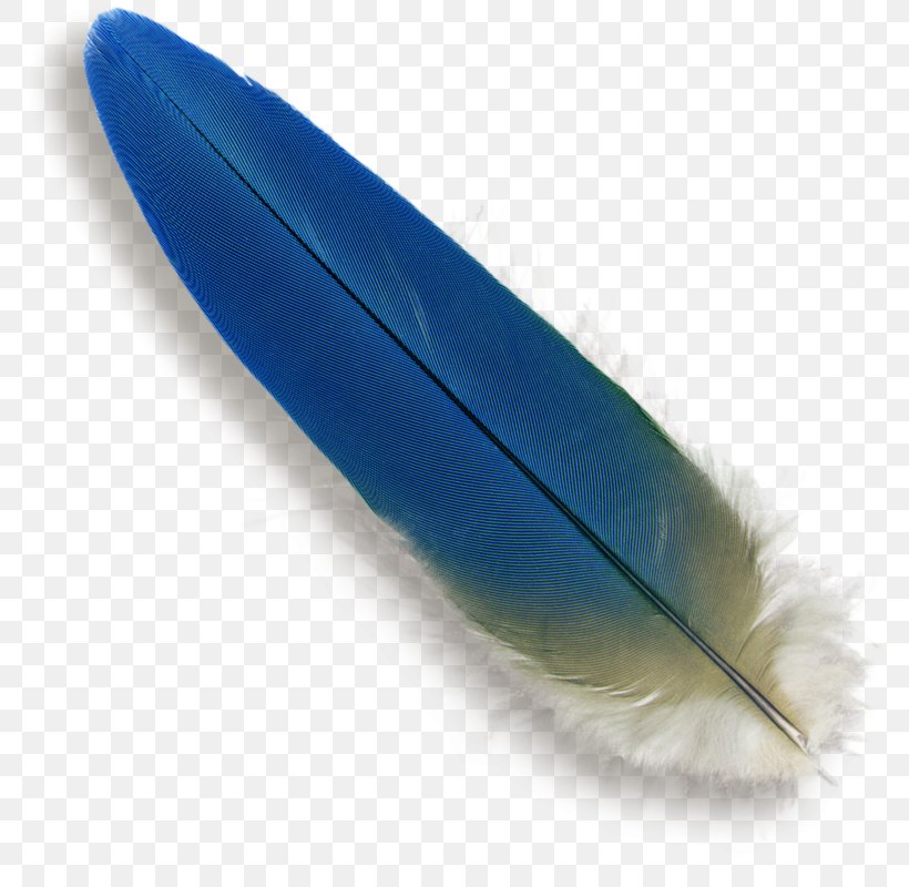 Parrot Bird Feather Macaw Blue, PNG, 783x800px, Parrot, Bird, Blue, Feather, Flight Feather Download Free