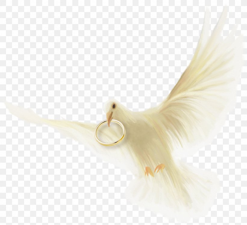 Wedding Ring Bird, PNG, 1024x933px, Wedding, Beak, Bird, Feather, Gift Download Free