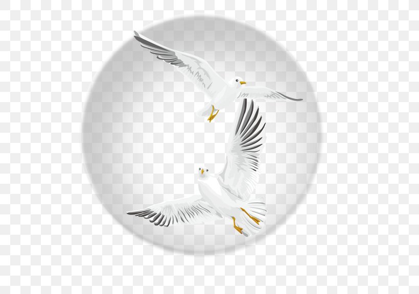 Bird Flight Bird Flight, PNG, 576x576px, Bird, Bird Flight, Flight, White Download Free