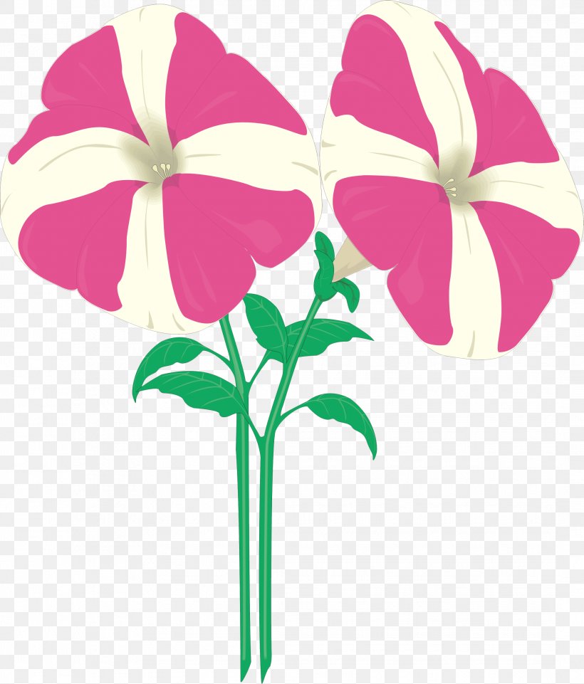 Clip Art Illustration Stock Photography Fotosearch, PNG, 2138x2507px, Stock Photography, Botany, Drawing, Flower, Flowering Plant Download Free