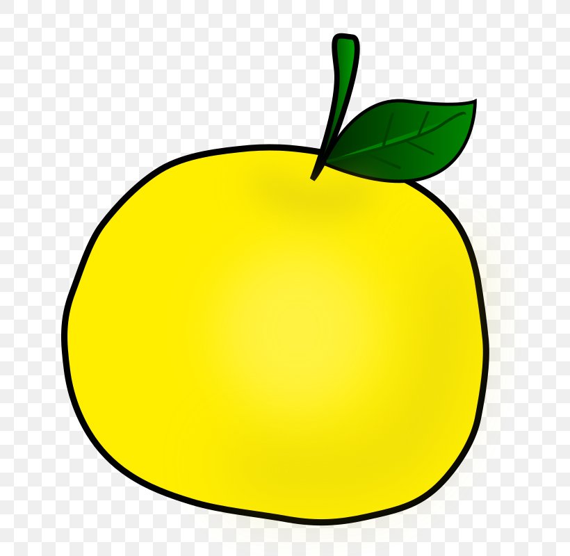 Clip Art Openclipart Image Public Domain, PNG, 800x800px, Public Domain, Apple, Citron, Citrus, Flowering Plant Download Free