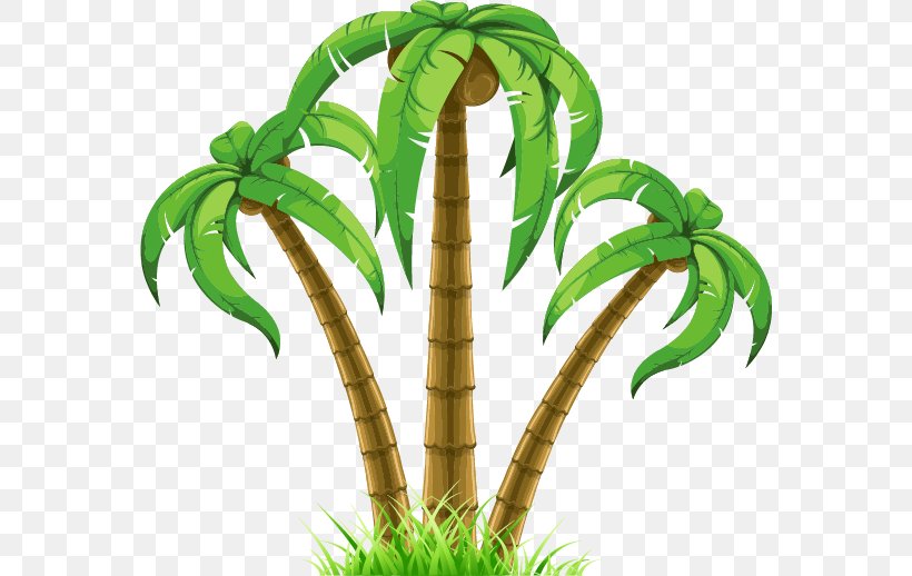 Clip Art Openclipart Palm Trees Image Free Content, PNG, 568x518px, Palm Trees, Arecales, Art, Document, Drawing Download Free