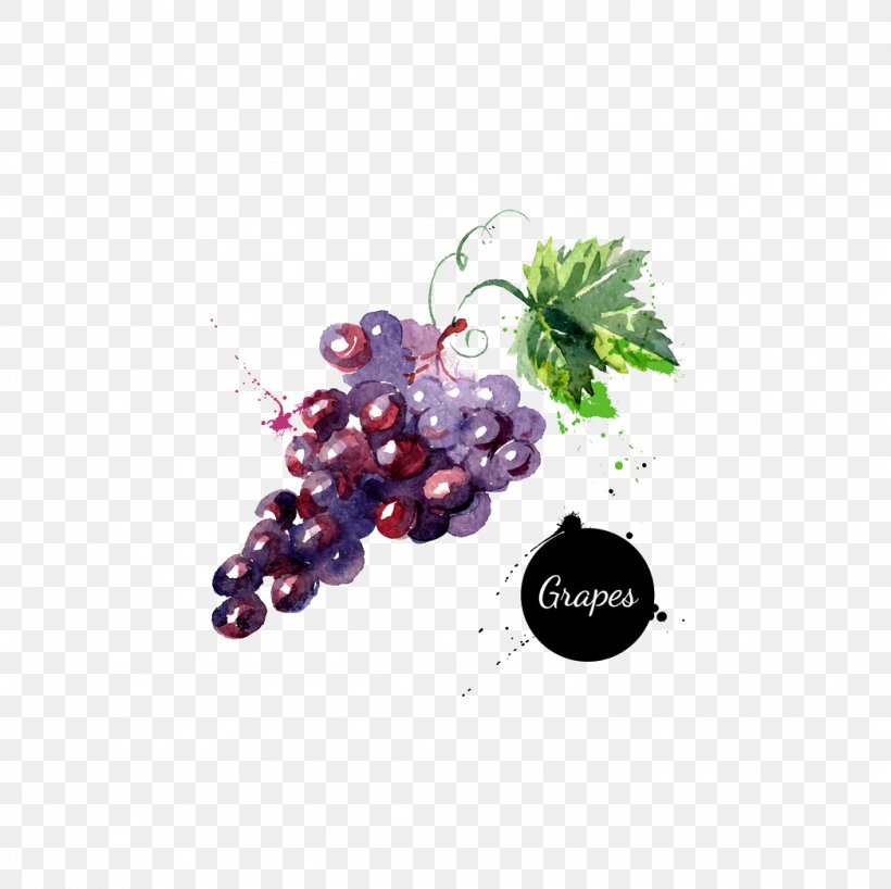 Grape Watercolor Painting Drawing Royalty-free, PNG, 1046x1044px, Grape, Berry, Drawing, Flowering Plant, Food Download Free