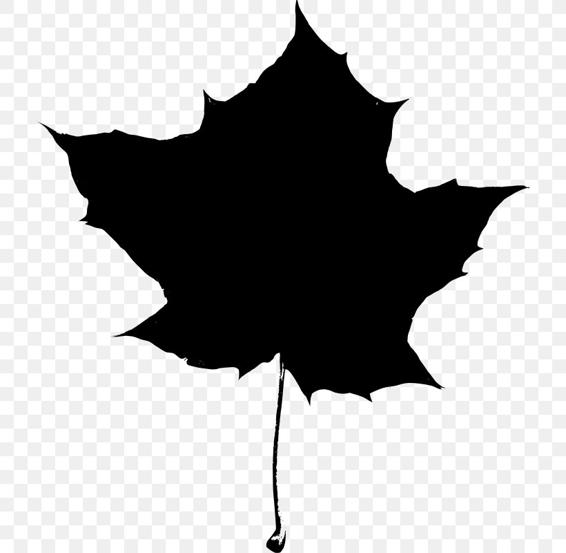 Maple Leaf Silhouette Clip Art, PNG, 715x800px, Maple Leaf, Autumn Leaf Color, Black, Black And White, Drawing Download Free