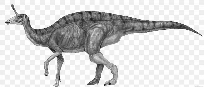 Tsintaosaurus Iguanodontia Corythosaurus Dinosaur Tyrannosaurus, PNG, 2991x1279px, Tsintaosaurus, Animal Figure, Beak, Black And White, Corythosaurus Download Free