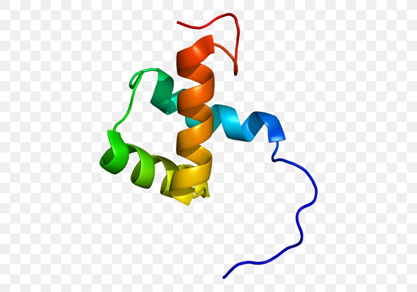 ZEB1 Homeobox Zinc Finger Transcription Factor Protein, PNG, 480x575px, Watercolor, Cartoon, Flower, Frame, Heart Download Free