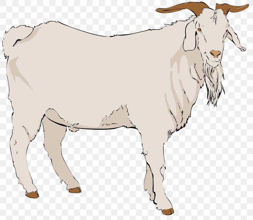 Boer Goat Angora Goat Pygmy Goat Black Bengal Goat Clip Art, PNG, 1175x1024px, Boer Goat, Angora Goat, Animal Figure, Black And White, Black Bengal Goat Download Free