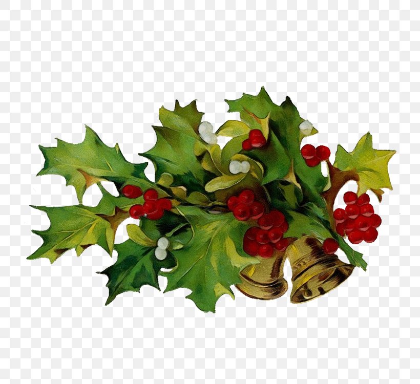 Holly, PNG, 750x750px, Watercolor, Branch, Flower, Hawthorn, Holly Download Free