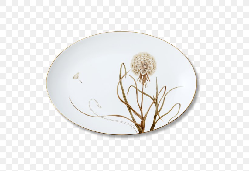 Plate Porcelain Platter Royal Copenhagen Service De Table, PNG, 562x562px, Plate, Bowl, Ceramic, Craft Production, Denmark Download Free