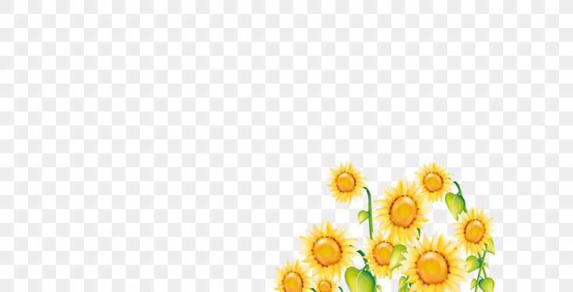 Floral Design Yellow Petal Flower Pattern, PNG, 2067x1058px, Floral Design, Floristry, Flower, Flower Arranging, Flowering Plant Download Free