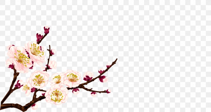 Plum Blossom Flower, PNG, 1500x800px, Blossom, Branch, Cdr, Cherry Blossom, Cut Flowers Download Free