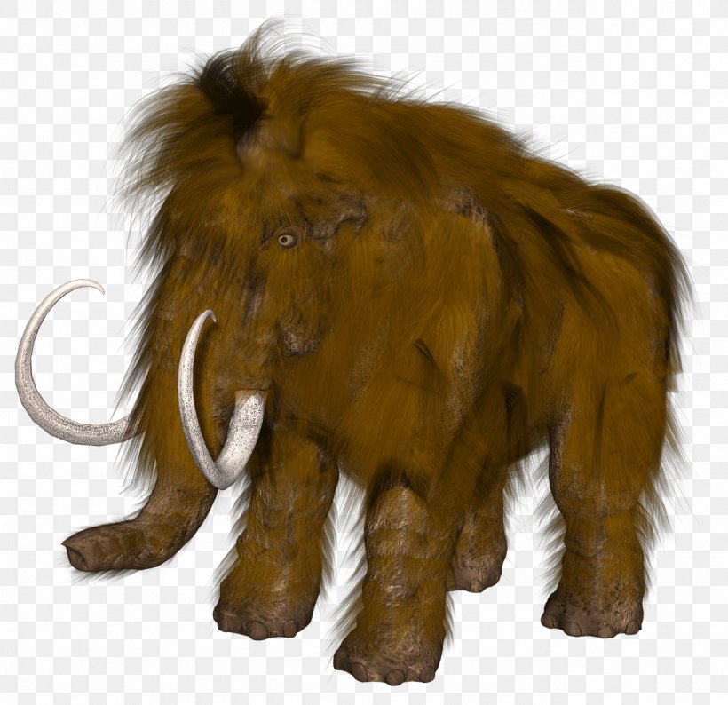 Wrangel Island Woolly Mammoth Nur Mal Schnell Das Mammut Retten Last Glacial Period Extinction, PNG, 1280x1240px, Wrangel Island, African Elephant, Animal, Carnivoran, Cloning Download Free