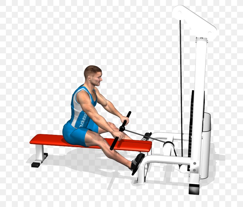 Exercise Fitness Centre Bent-over Row Muscle, PNG, 700x700px, Watercolor, Cartoon, Flower, Frame, Heart Download Free