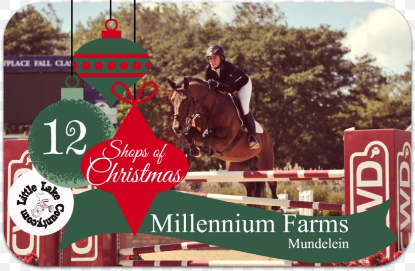 Horse Advertising Christmas Brand, PNG, 1024x670px, Horse, Advertising, Brand, Christmas, Horse Like Mammal Download Free