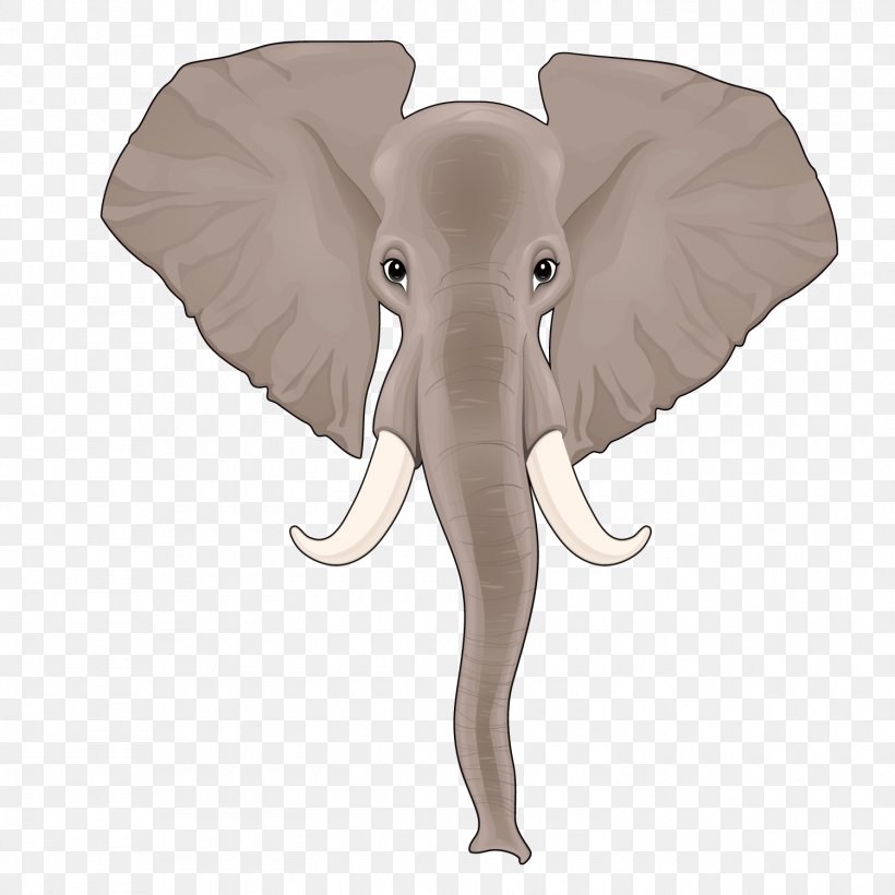 Indian Elephant African Elephant Nose, PNG, 1500x1500px, Indian Elephant,  African Elephant, Animal, Cartoon, Elephant Download Free