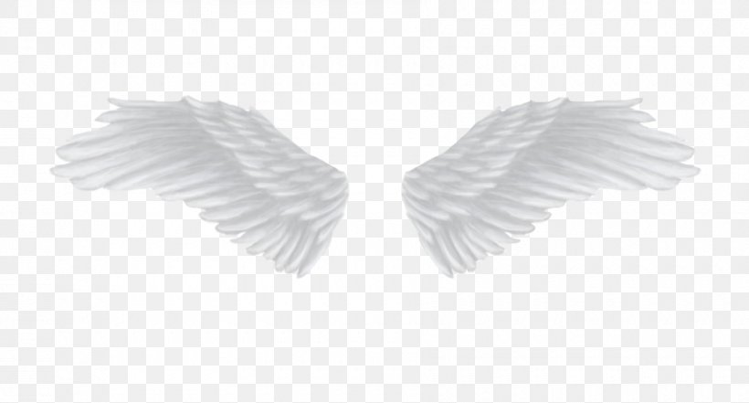 White Angle, PNG, 900x485px, White, Black And White, Monochrome Photography, Wing Download Free