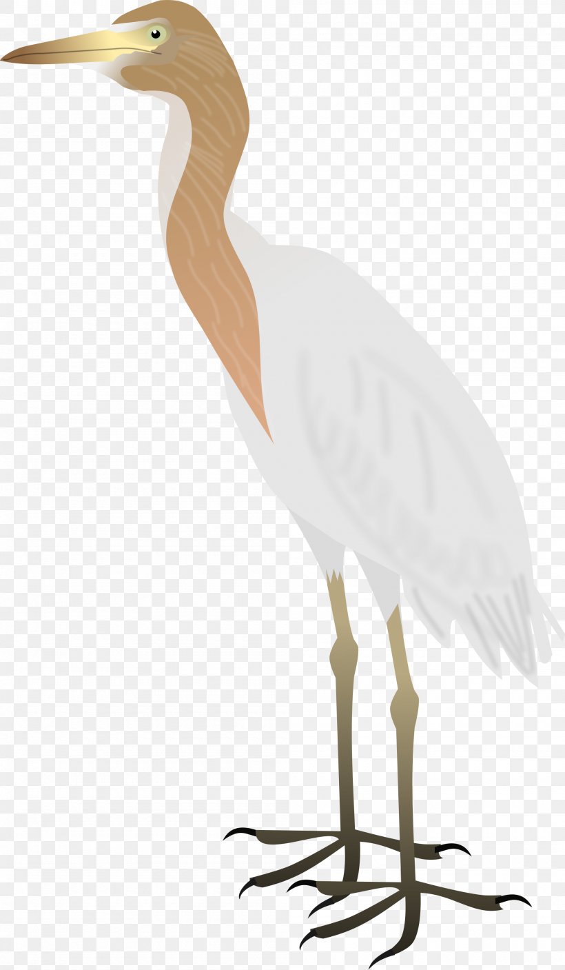 Heron Bird Great Egret Wader, PNG, 2000x3432px, Heron, Beak, Bird, Cattle Egret, Ciconiiformes Download Free