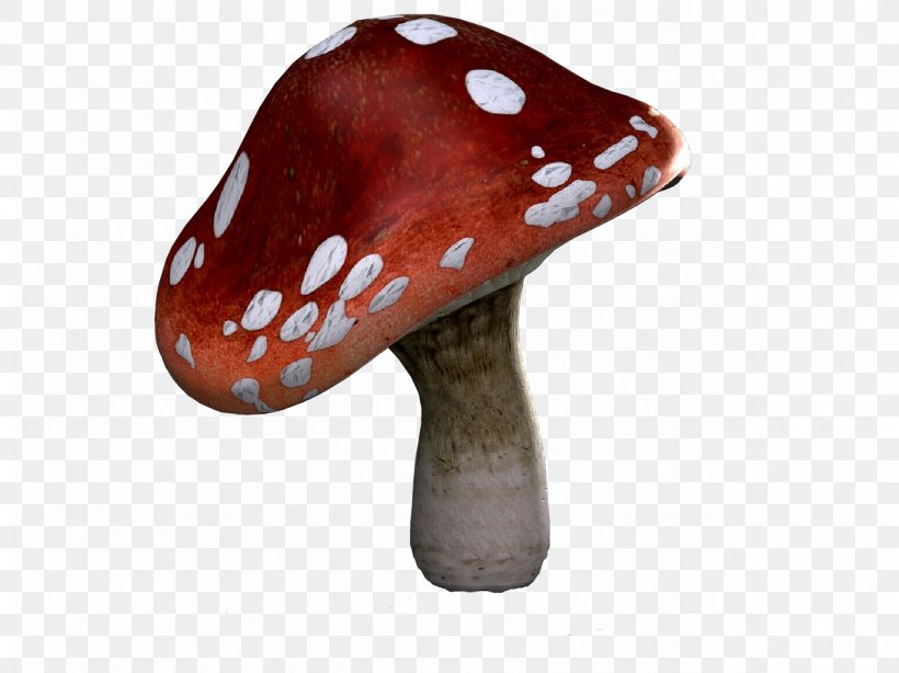 Mushroom Agaric Ceramic Fungus, PNG, 1280x959px, Cartoon, Agaric, Ceramic, Fungus, Mushroom Download Free