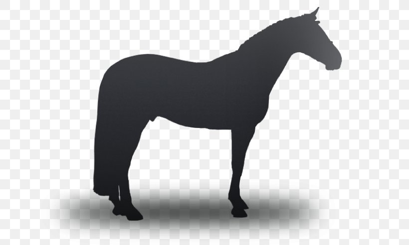 American Quarter Horse Mustang Stallion Pony Percheron, PNG, 660x492px, American Quarter Horse, Abqm Quarto De Milha, Animal, Anticariat, Black And White Download Free
