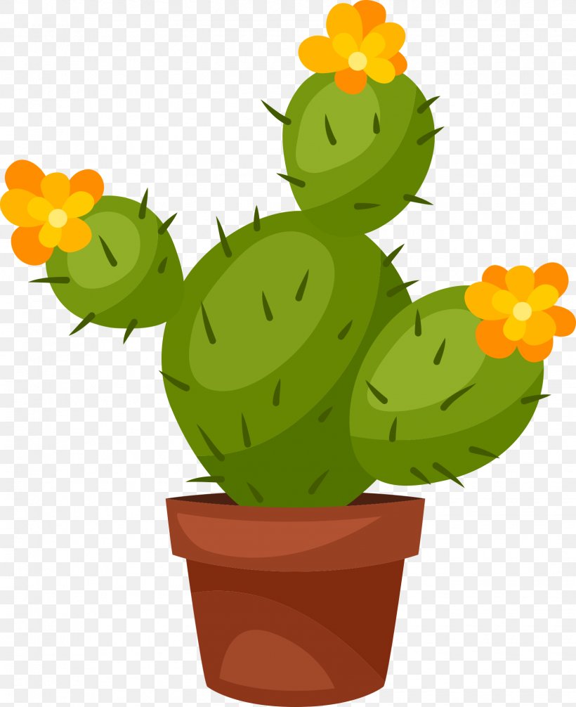 Cactus And Succulents Succulent Plant Pachypodium Lamerei Succulents And Cactus, PNG, 1630x2000px, Cactus And Succulents, Cactus, Cactus Garden, Caryophyllales, Drawing Download Free